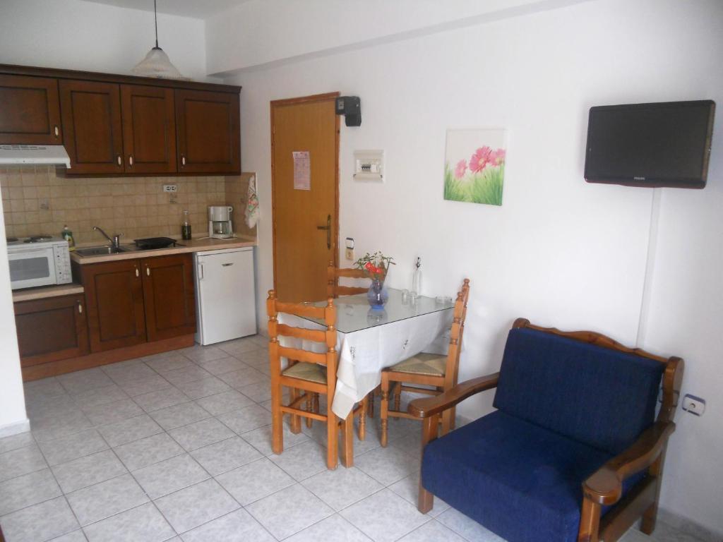 Galini Apartments 플라키아스 객실 사진